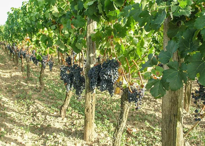 Amazing In Suaux Ferienhaus Suaux